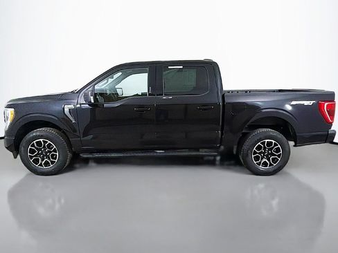 Used 2023 Ford F150 XLT w/ Equipment Group 302A High AWD/4WD image 15
