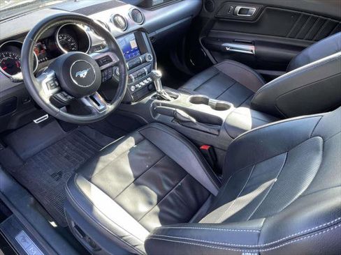 Used 2023 Ford Mustang Premium w/ Mustang Nite Pony Package image 13