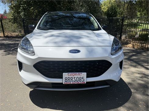Used 2020 Ford Escape SE Sport AWD/4WD image 2