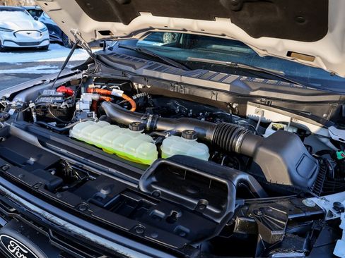 New 2025 Ford F150 XLT w/ Equipment Group 302A MID image 36