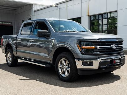 Used 2024 Ford F150 XLT w/ Mobile Office Package