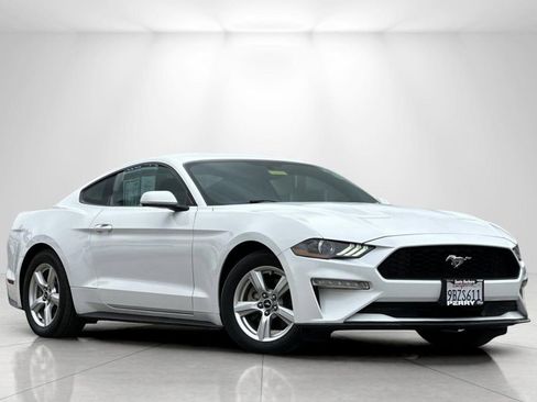 Used 2019 Ford Mustang Coupe image 1