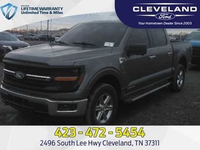 Used 2024 Ford F150 XLT w/ Mobile Office Package