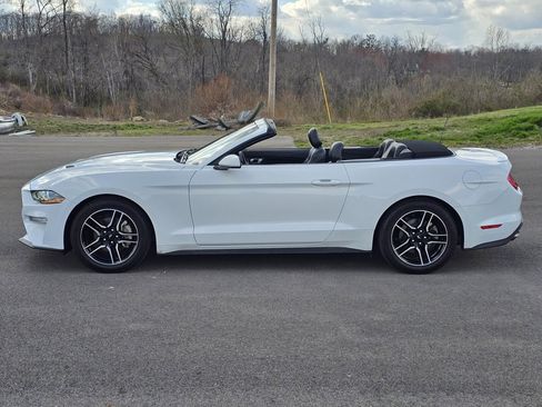 Used 2023 Ford Mustang Premium image 3