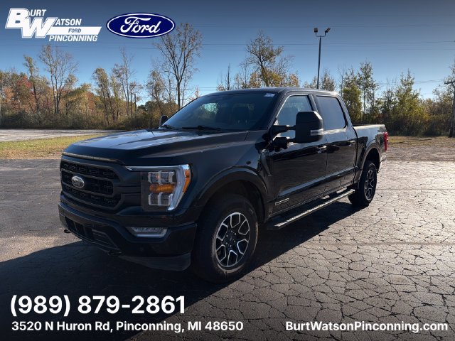 Used 2023 Ford F150 XLT w/ Equipment Group 302A High AWD/4WD image 1