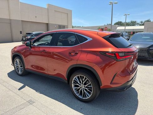 Used 2023 Lexus NX 350 AWD w/ Vision Package image 6