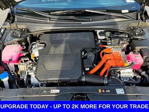 New 2026 Hyundai Elantra Hybrid FWD image 14