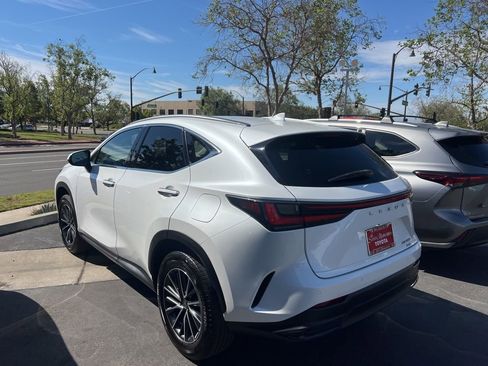 Used 2024 Lexus NX 350 350 Premium w/ Vision Package image 4