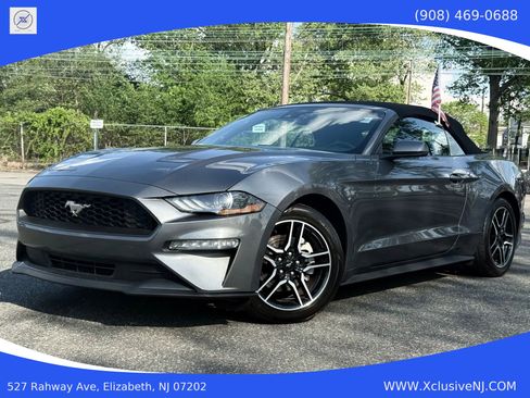Used 2022 Ford Mustang Premium w/ Equipment Group 201A image 1