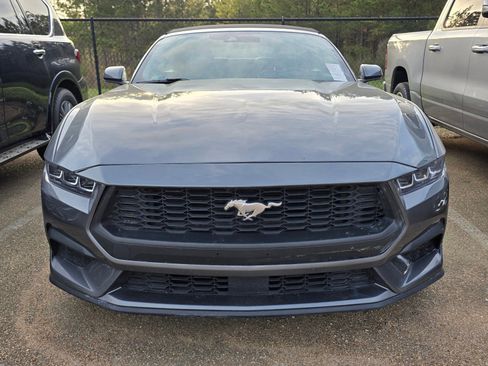 Used 2024 Ford Mustang Premium image 2