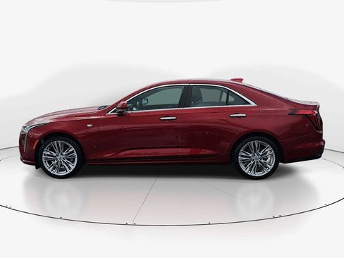 Used 2021 Cadillac CT4 Premium Luxury AWD/4WD image 6