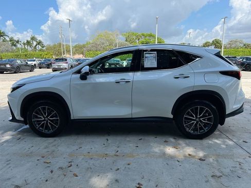 Certified 2026 Lexus NX 350 350 Base w/ Cold Area Package image 4