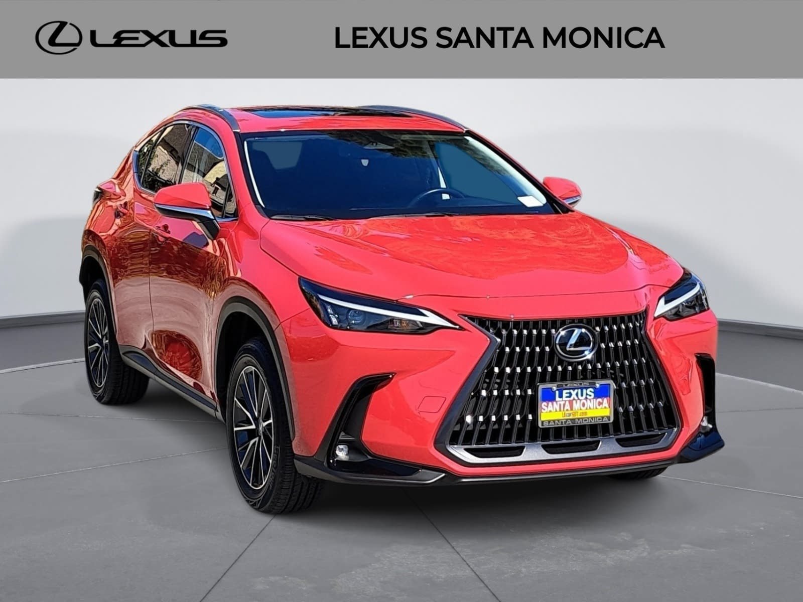 Used 2024 Lexus NX 350h AWD w/ Cold Area Package image 3