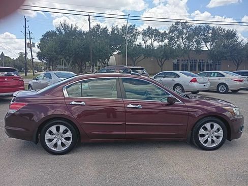 Used 2010 Honda Accord EX-L image 6