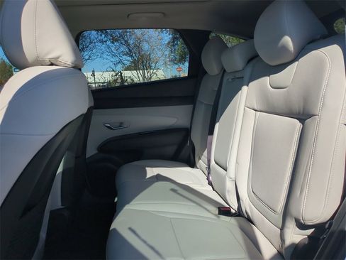 New 2026 Hyundai Tucson Limited image 14
