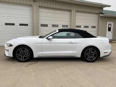 Used 2023 Ford Mustang Premium RWD image 7