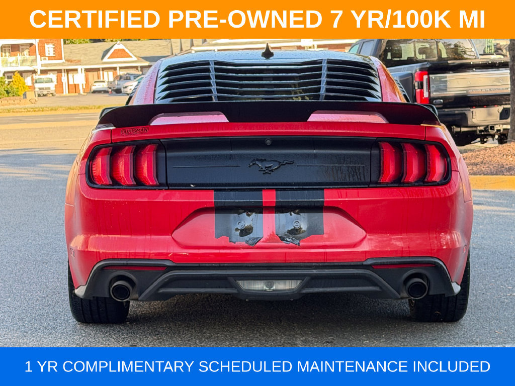 Used 2023 Ford Mustang Coupe w/ Mustang Nite Pony Package RWD image 3