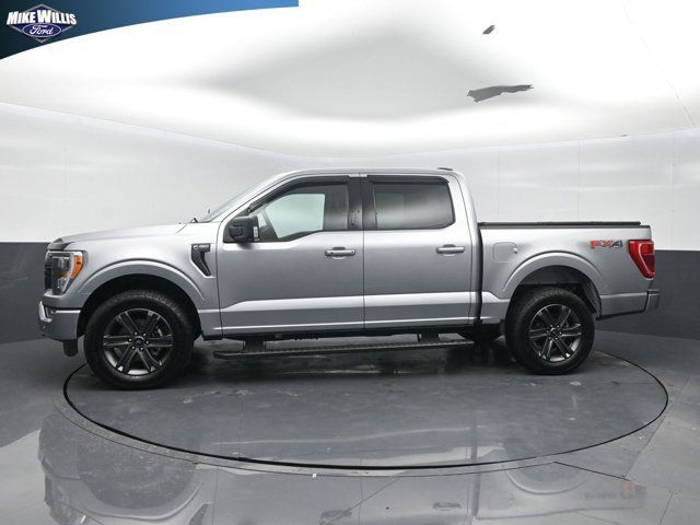 Used 2023 Ford F150 XLT w/ Equipment Group 302A High AWD/4WD image 4