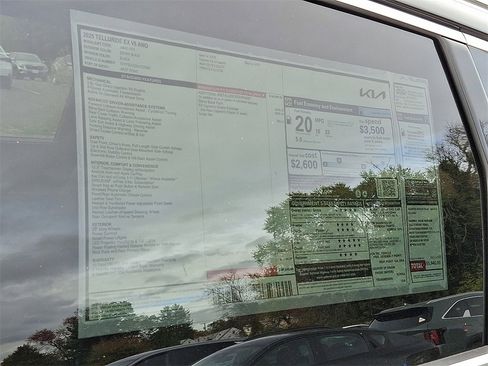 New 2025 Kia Telluride EX image 11