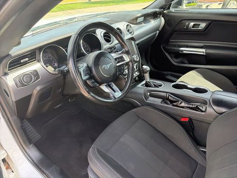 Used 2022 Ford Mustang GT w/ Equipment Group 301A image 8