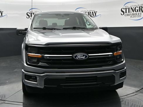 Used 2025 Ford F150 XLT w/ Equipment Group 301A Standard RWD image 2