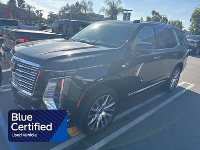 Used 2026 Cadillac Escalade Platinum Luxury