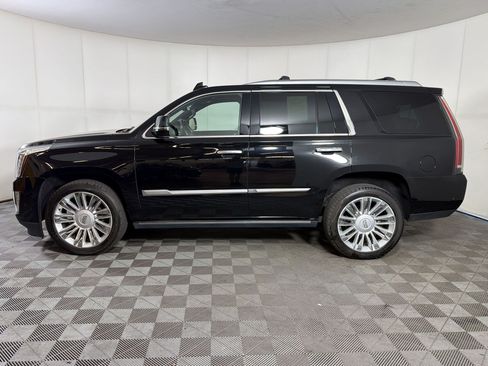 Used 2019 Cadillac Escalade Platinum AWD/4WD image 2