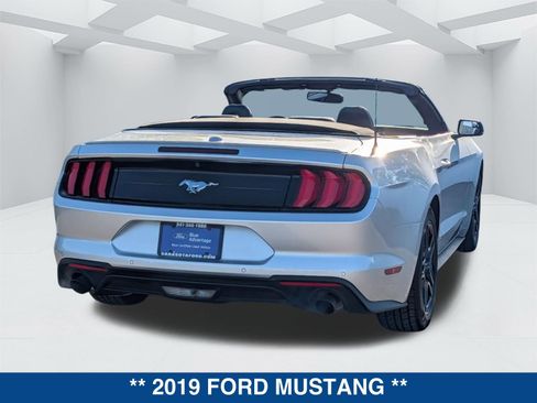 Certified 2019 Ford Mustang Premium image 4