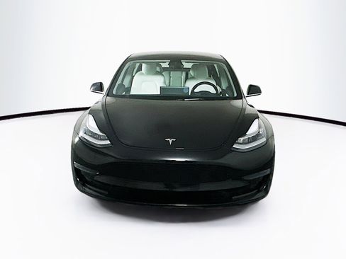 Used 2019 Tesla Model 3 Standard Range Plus image 2