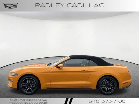 Used 2019 Ford Mustang Premium image 14