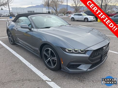 Used 2024 Ford Mustang Premium image 1