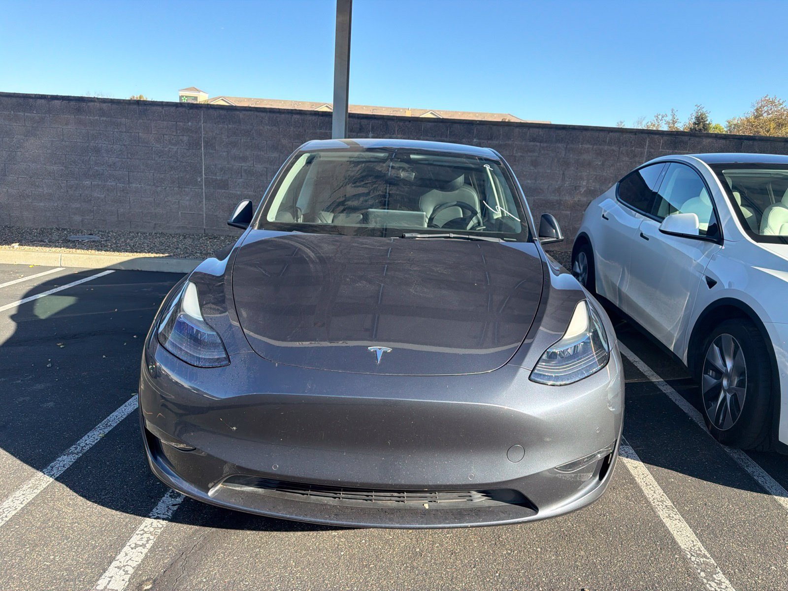 Used 2022 Tesla Model Y Performance AWD/4WD image 3