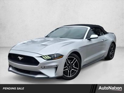 Used 2019 Ford Mustang Premium
