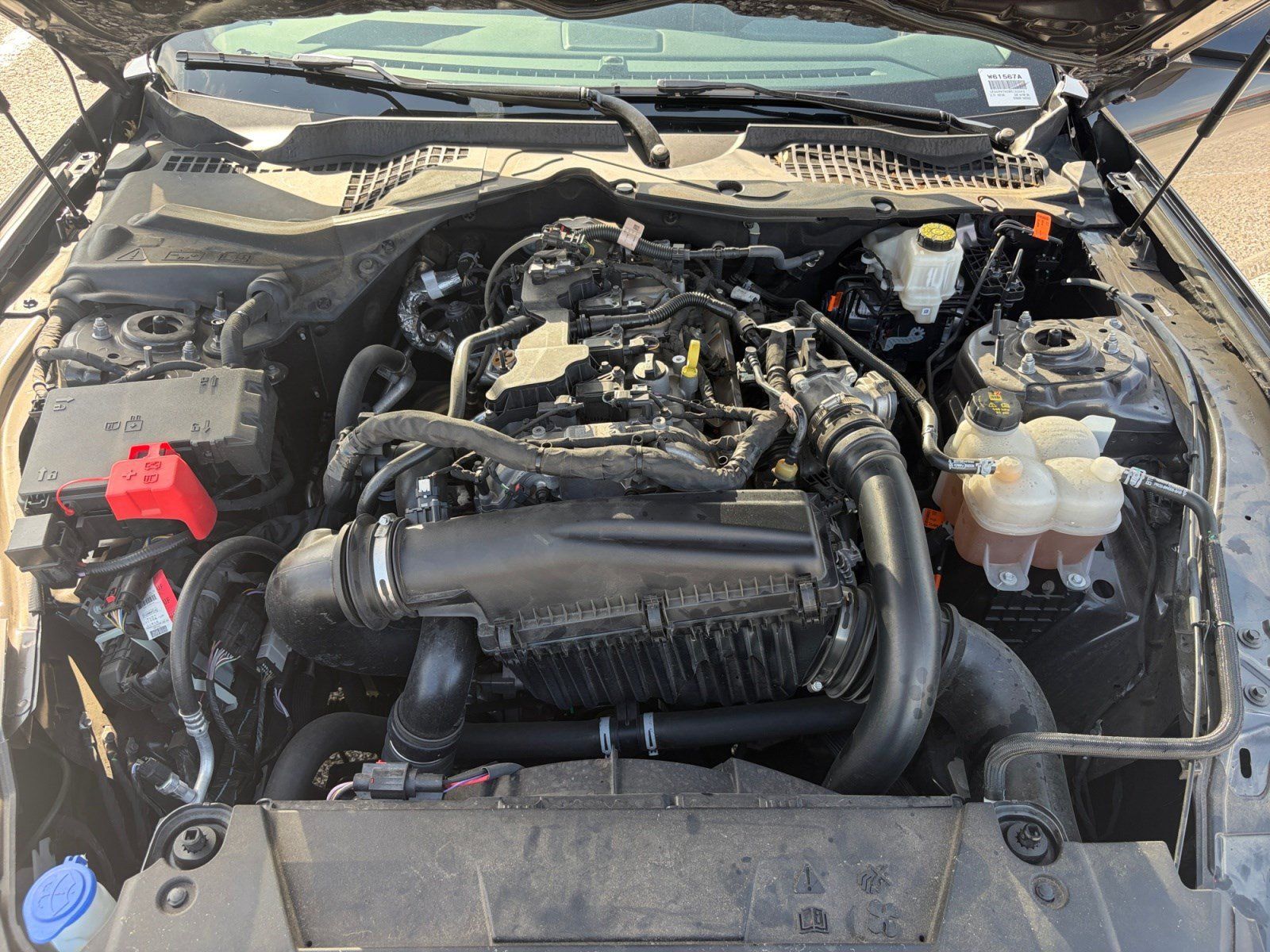 Used 2024 Ford Mustang Coupe RWD image 24