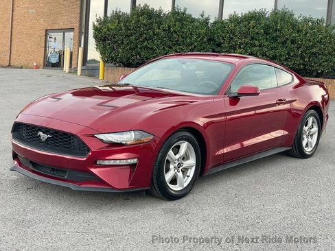Used 2019 Ford Mustang Coupe image 3