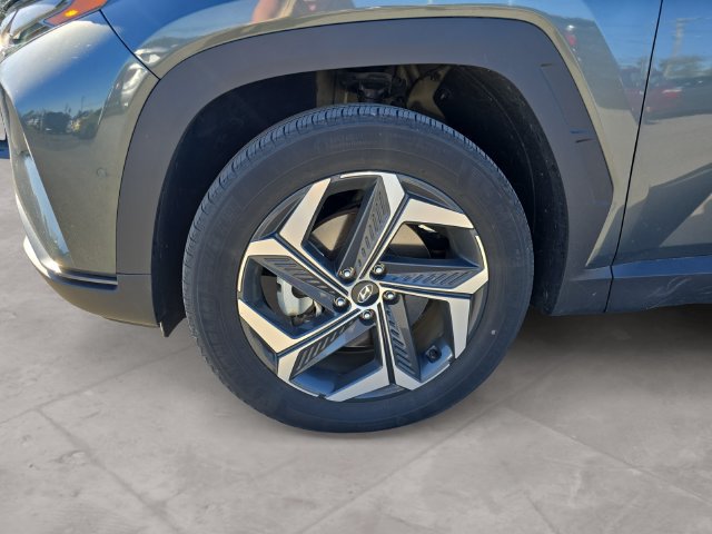 Used 2024 Hyundai Tucson Limited AWD/4WD image 14