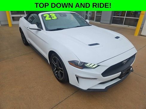 Used 2023 Ford Mustang Premium image 1