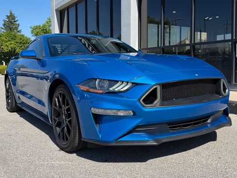 Used 2019 Ford Mustang Coupe w/ Ecoboost Performance Package RWD image 14