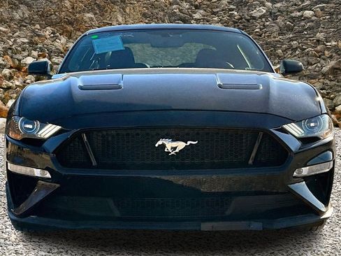 Used 2019 Ford Mustang GT w/ Equipment Group 301A image 3