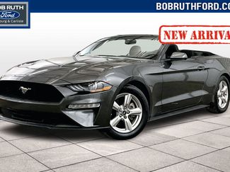 Used 2019 Ford Mustang EcoBoost video 1