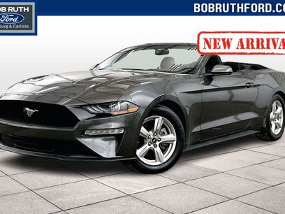 Used 2019 Ford Mustang EcoBoost