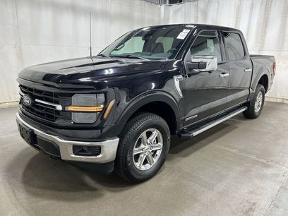 Used 2025 Ford F150 XLT w/ Equipment Group 302A MID