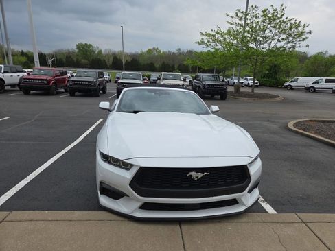 Used 2024 Ford Mustang Premium image 2