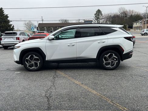 Used 2023 Hyundai Tucson Limited image 2