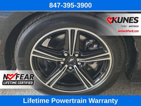 Used 2024 Ford Mustang EcoBoost image 52