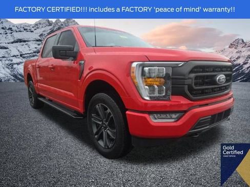 Used 2023 Ford F150 XLT w/ Equipment Group 302A High AWD/4WD image 1