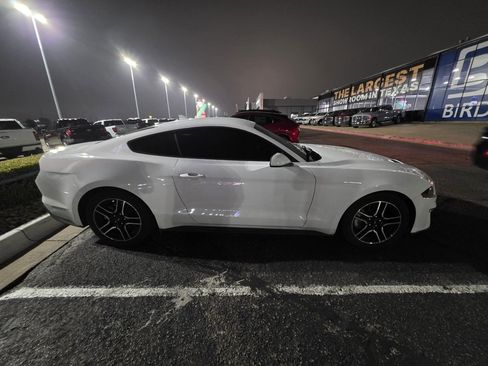 Used 2023 Ford Mustang Coupe w/ Equipment Group 101A image 3