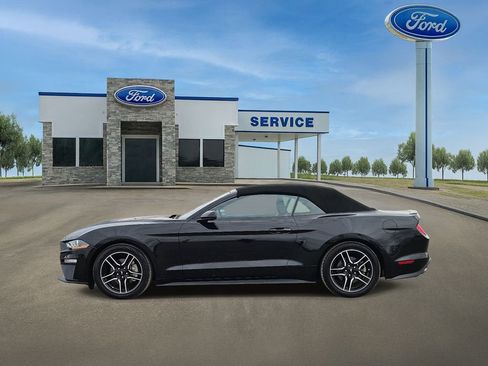Used 2023 Ford Mustang Premium image 3