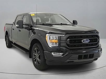 Used 2023 Ford F150 XLT w/ Equipment Group 302A High