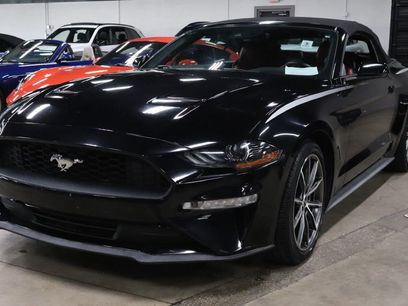Used 2019 Ford Mustang Premium w/ Equipment Group 201A